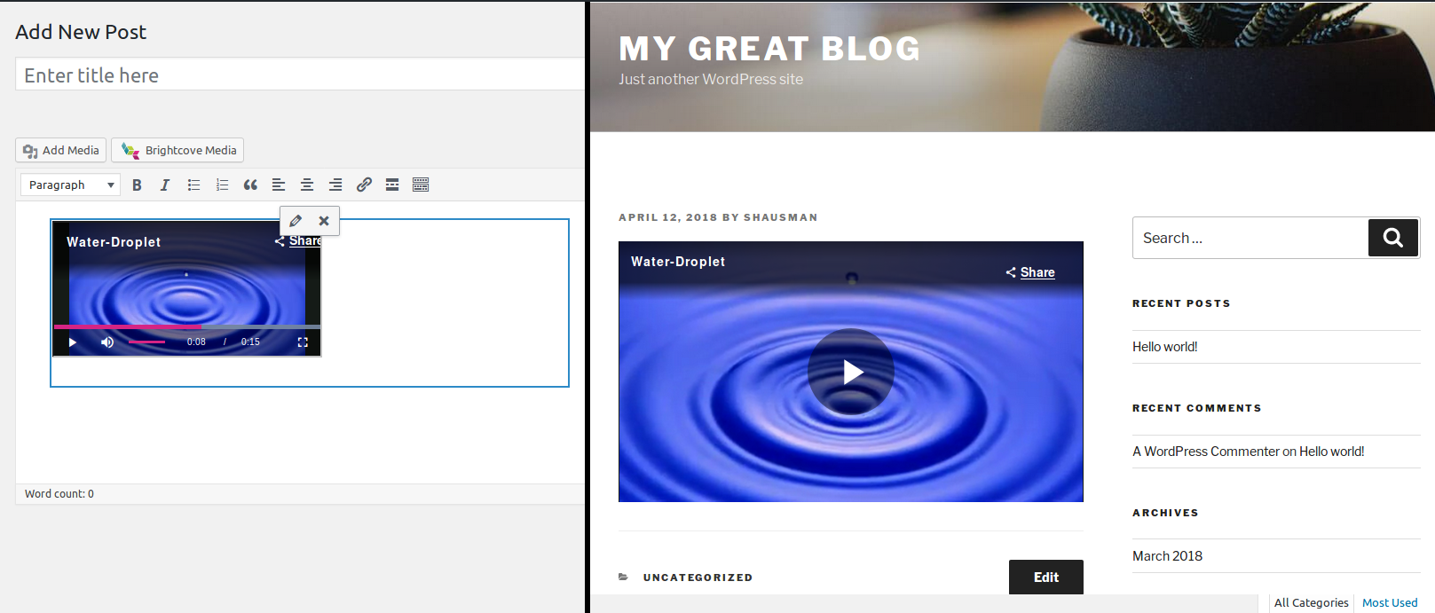 並排比較編輯窗口中的圖像和發布的視頻。