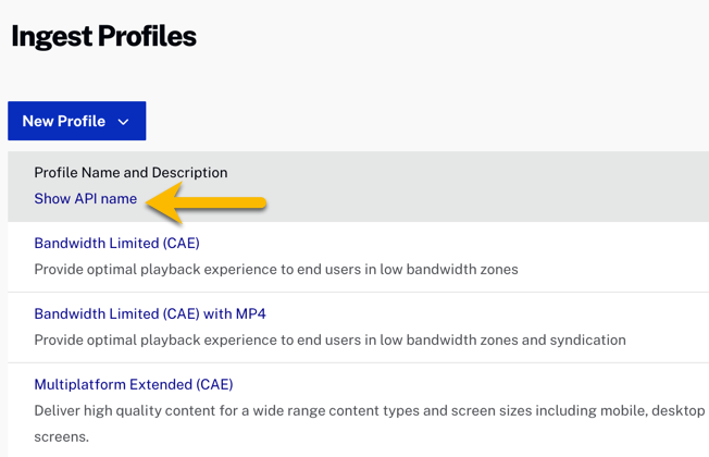 顯示設定檔 API 名稱。